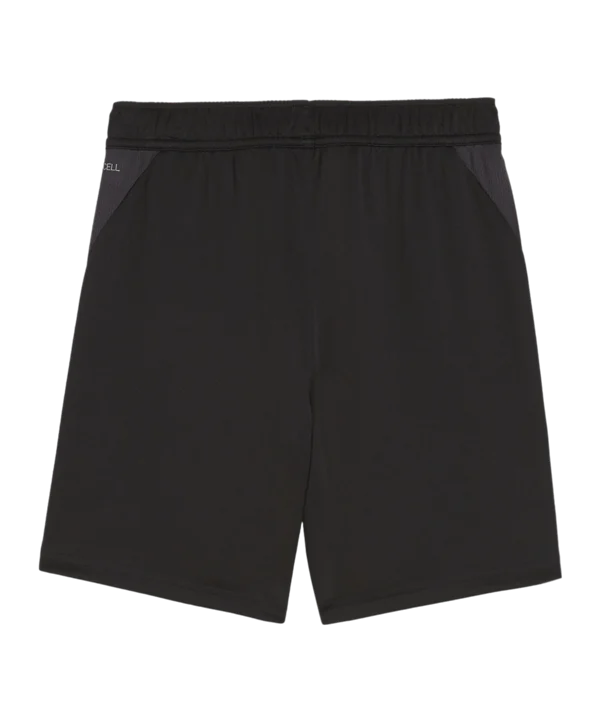 Präsentaion Trainings Short Kids